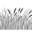 grass